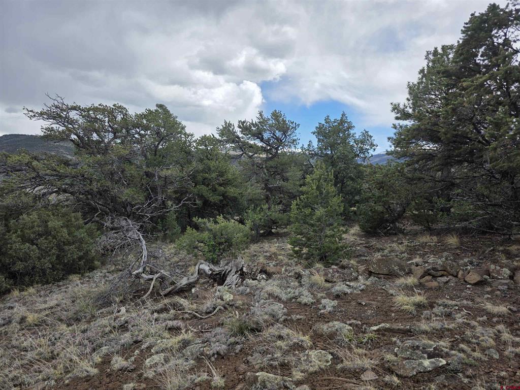 326 Pikrd Peak Road South Fork CO 81154