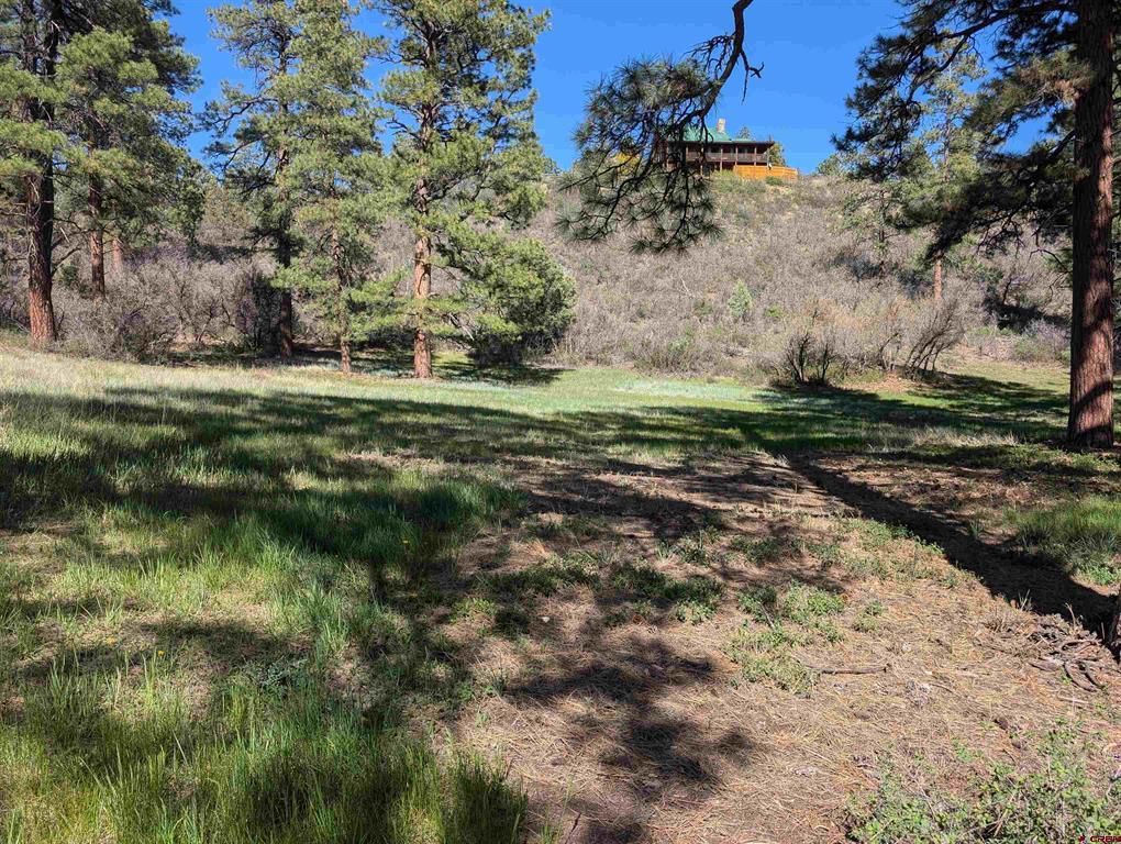 541 Blue Jay Circle Pagosa Springs CO 81147