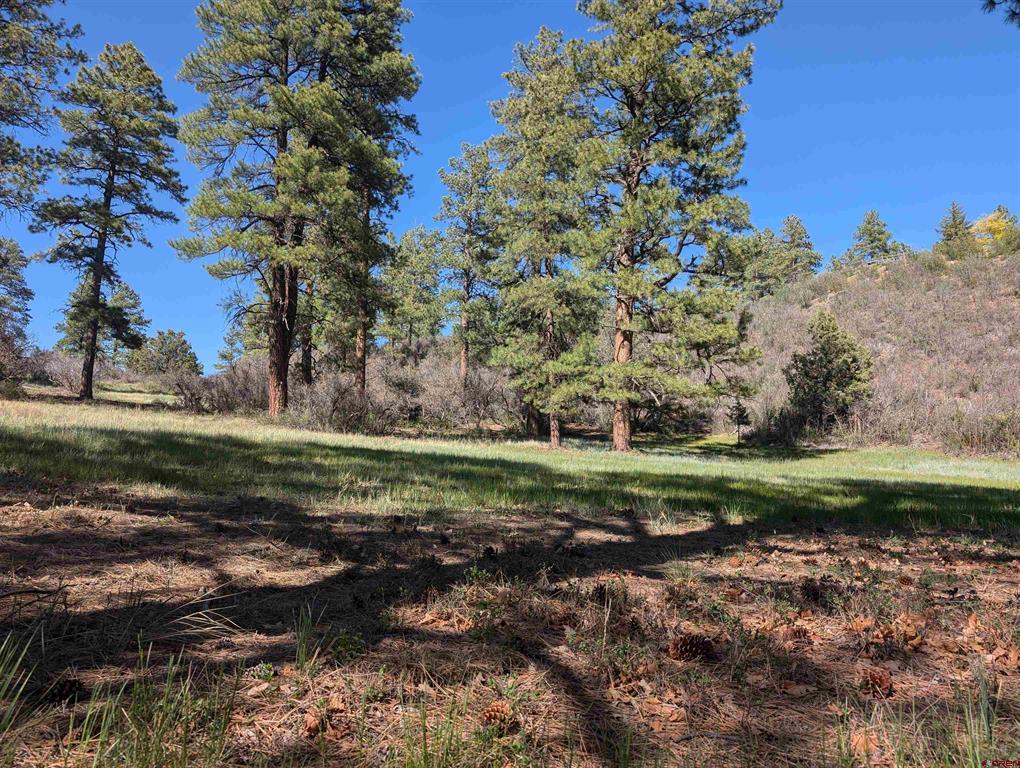541 Blue Jay Circle Pagosa Springs CO 81147