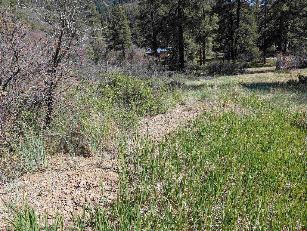 541 Blue Jay Circle Pagosa Springs CO 81147