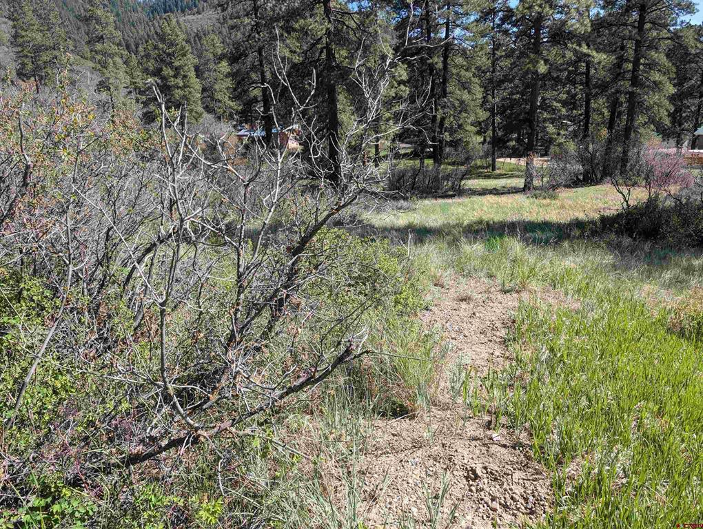 541 Blue Jay Circle Pagosa Springs CO 81147
