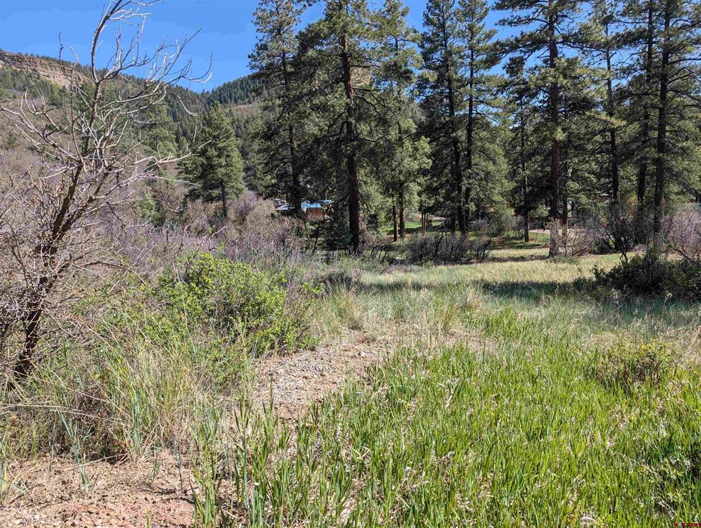 541 Blue Jay Circle Pagosa Springs CO 81147