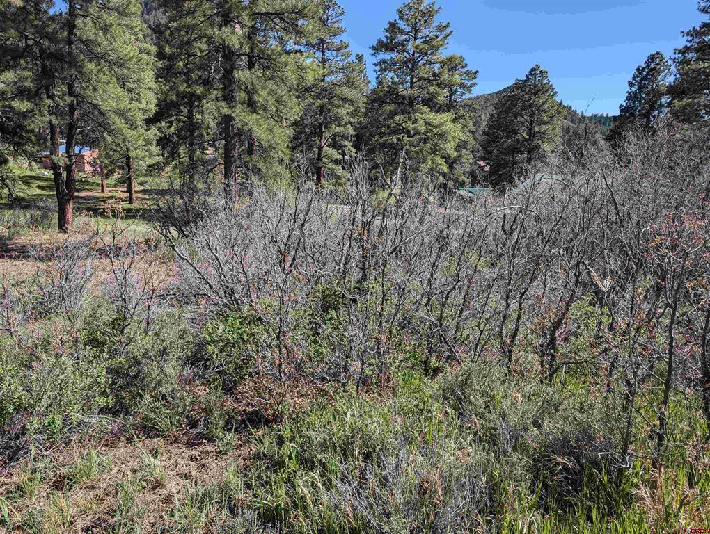 541 Blue Jay Circle Pagosa Springs CO 81147