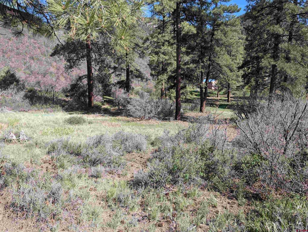 541 Blue Jay Circle Pagosa Springs CO 81147