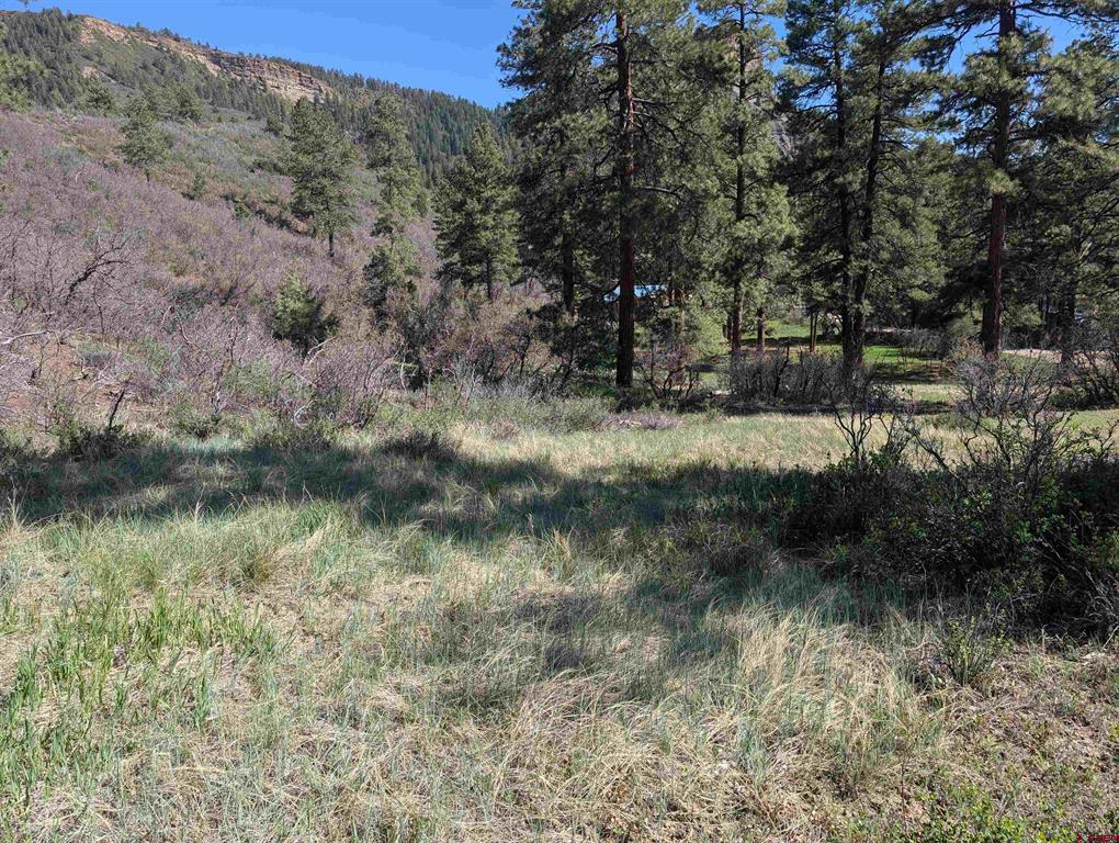 541 Blue Jay Circle Pagosa Springs CO 81147