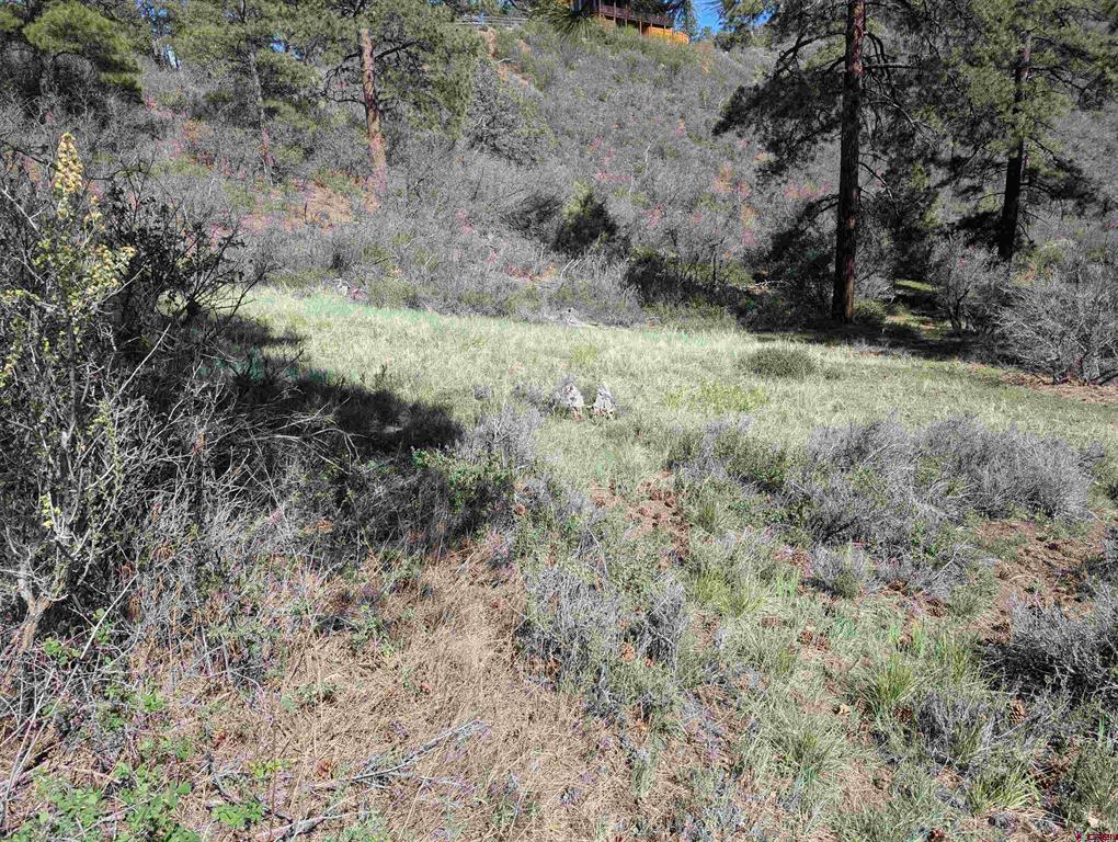 541 Blue Jay Circle Pagosa Springs CO 81147