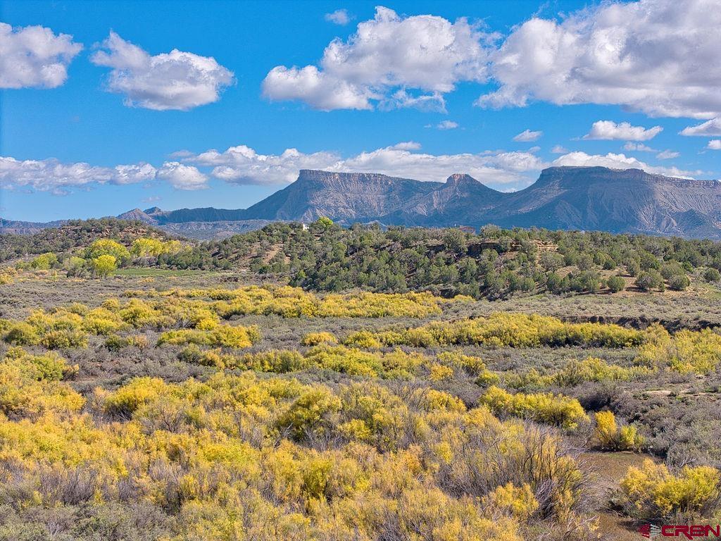 Tbd Highway 160 Cortez CO 81321