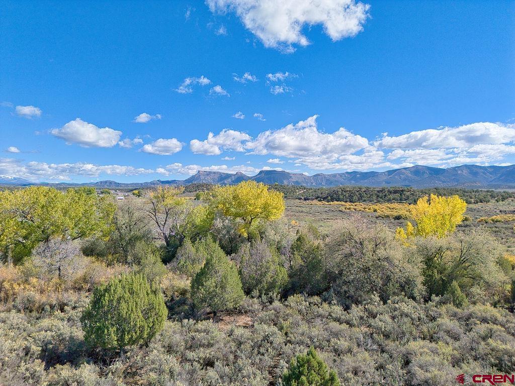 Tbd Highway 160 Cortez CO 81321