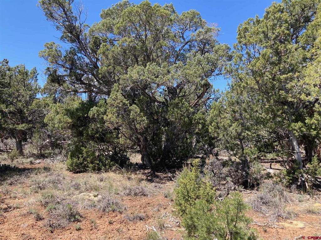 Lot 2 (TBD) County Road 22b Montrose CO 81403
