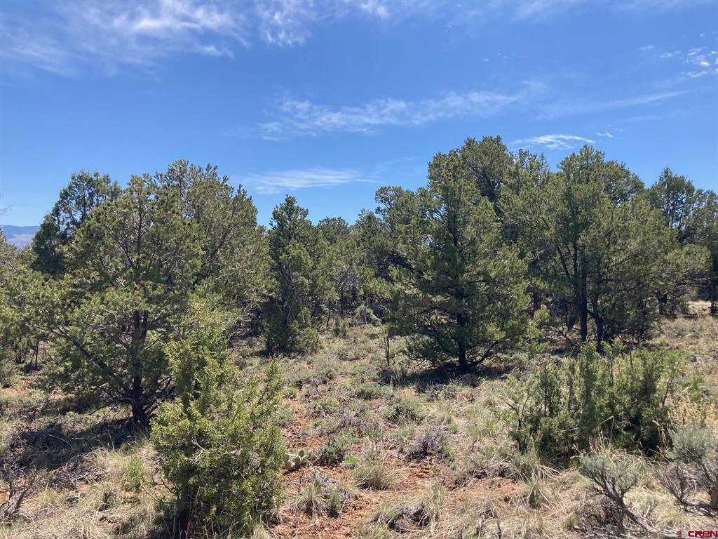 Lot 2 (TBD) County Road 22b Montrose CO 81403