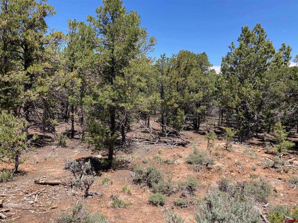 Lot 2 (TBD) County Road 22b Montrose CO 81403