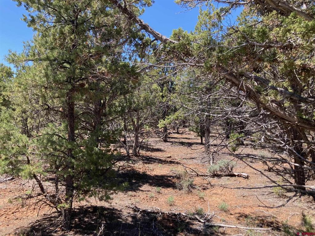 Lot 2 (TBD) County Road 22b Montrose CO 81403
