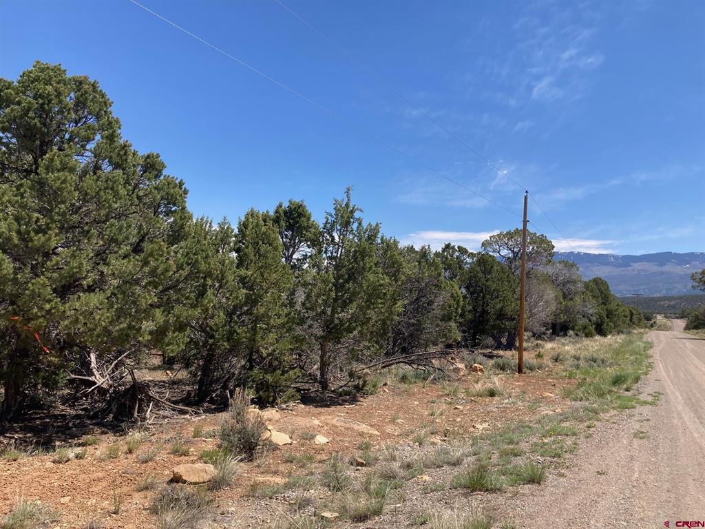 Lot 2 (TBD) County Road 22b Montrose CO 81403