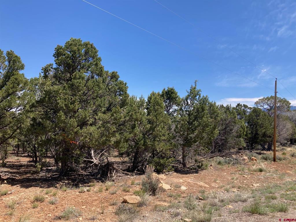 Lot 2 (TBD) County Road 22b Montrose CO 81403