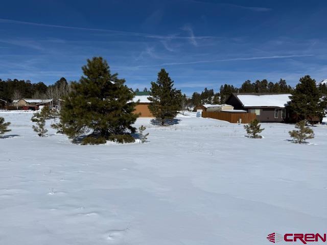 31 Warbler Court Pagosa Springs CO 81147