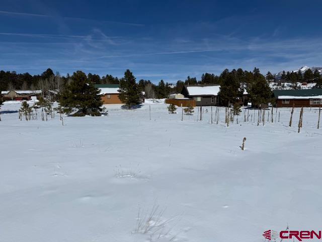 31 Warbler Court Pagosa Springs CO 81147