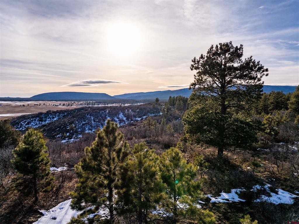 363 Jacobson Circle Pagosa Springs CO 81147