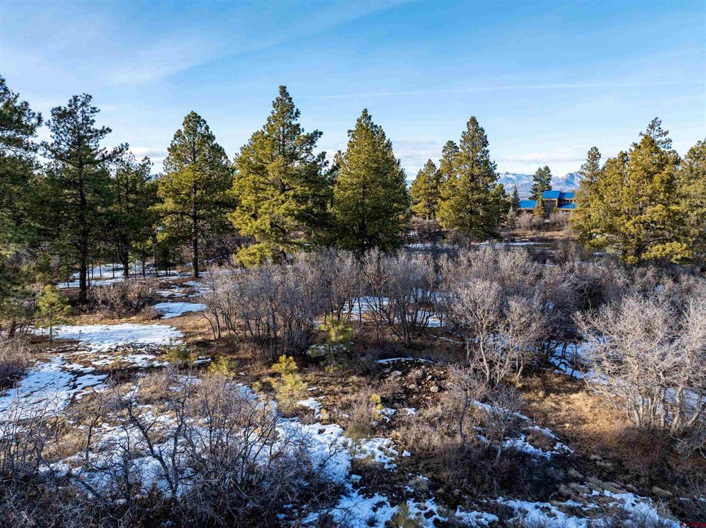 363 Jacobson Circle Pagosa Springs CO 81147