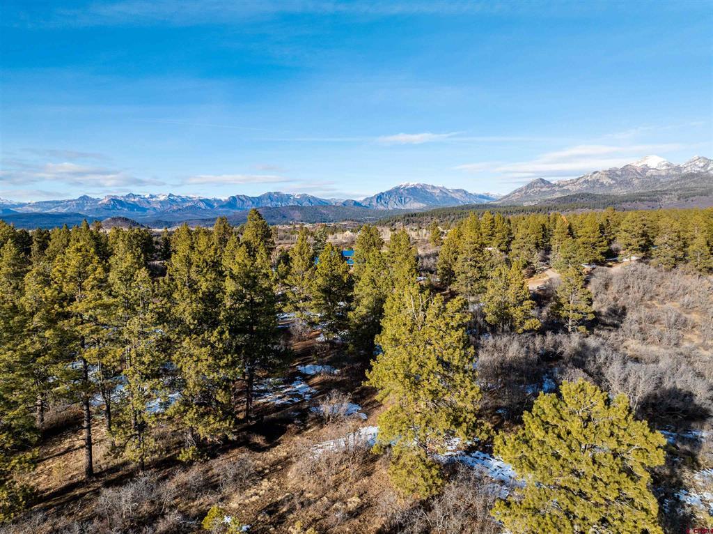 363 Jacobson Circle Pagosa Springs CO 81147