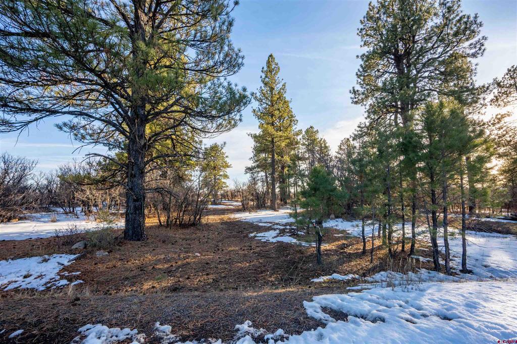363 Jacobson Circle Pagosa Springs CO 81147