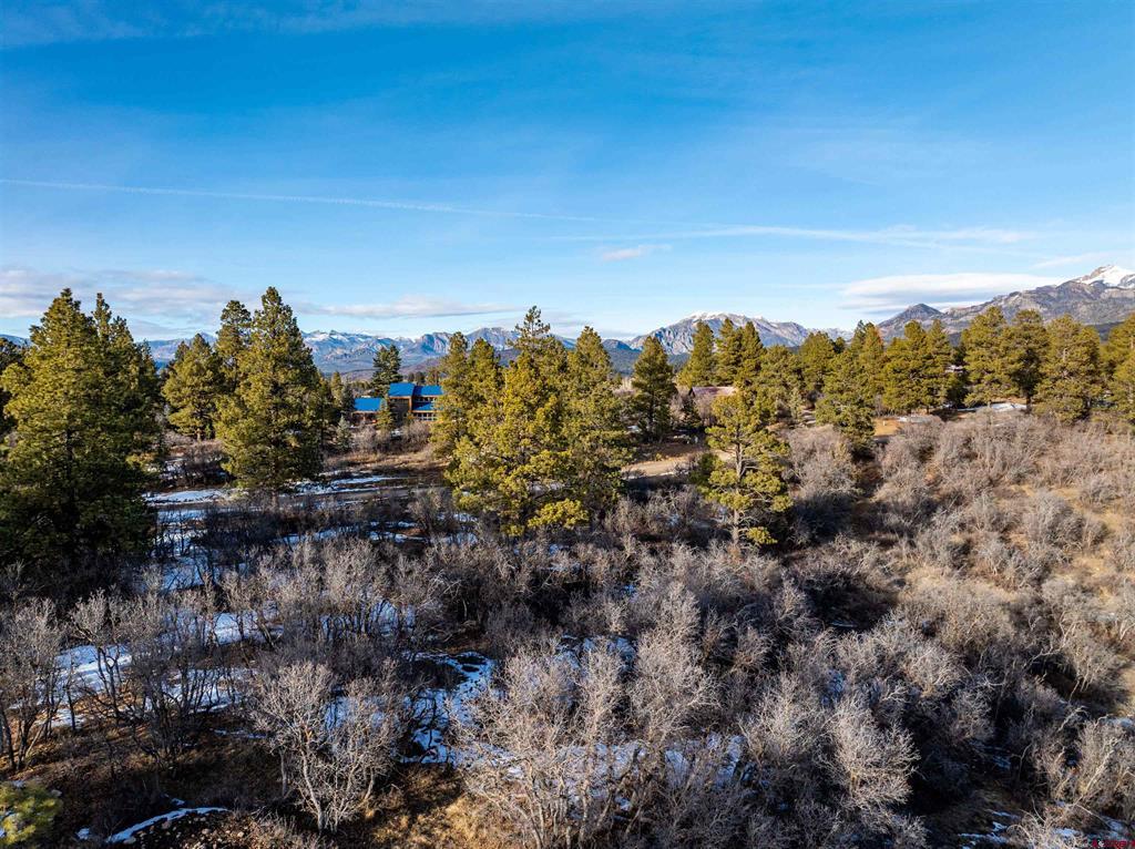 363 Jacobson Circle Pagosa Springs CO 81147