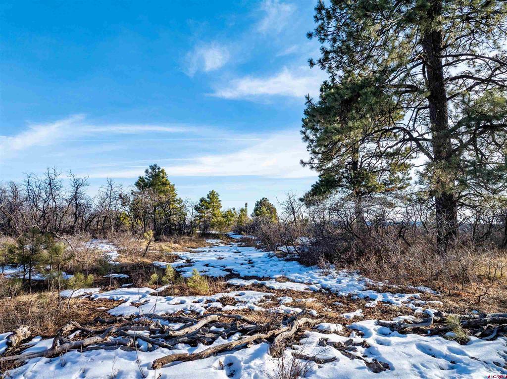 363 Jacobson Circle Pagosa Springs CO 81147