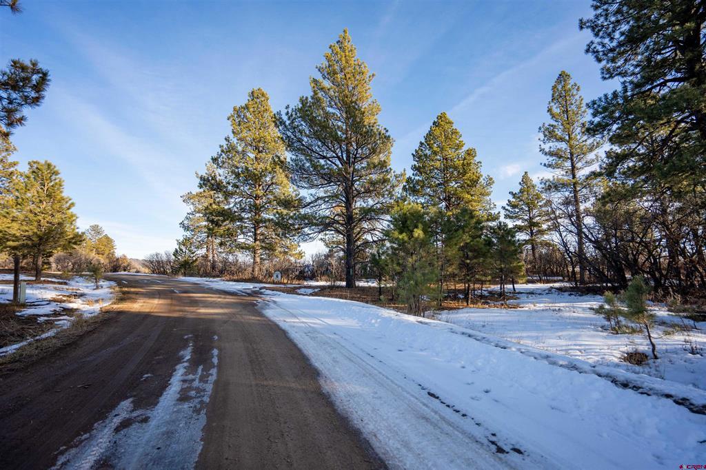 363 Jacobson Circle Pagosa Springs CO 81147