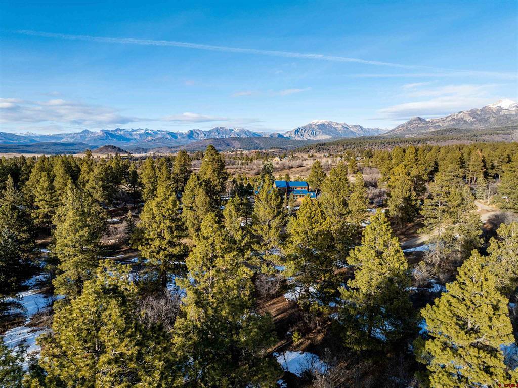 363 Jacobson Circle Pagosa Springs CO 81147