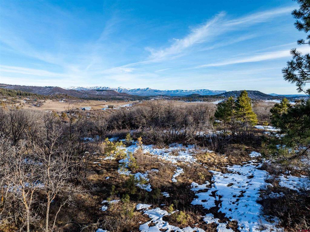 363 Jacobson Circle Pagosa Springs CO 81147
