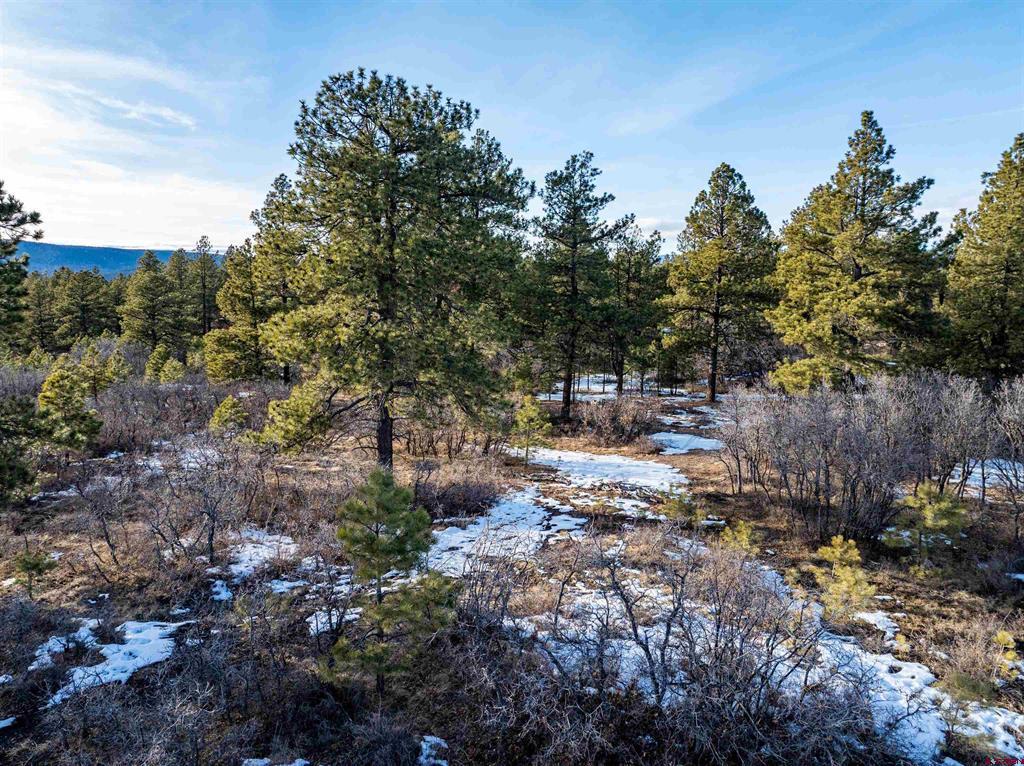 363 Jacobson Circle Pagosa Springs CO 81147