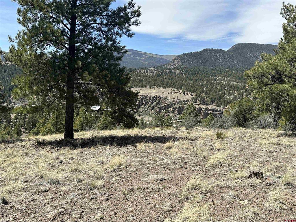 598 N Skyline Drive South Fork CO 81154