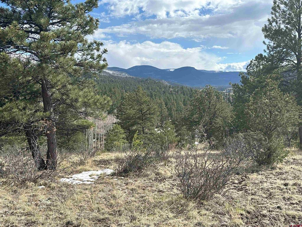 598 N Skyline Drive South Fork CO 81154