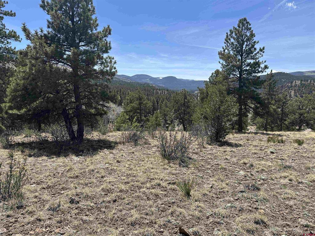 598 N Skyline Drive South Fork CO 81154