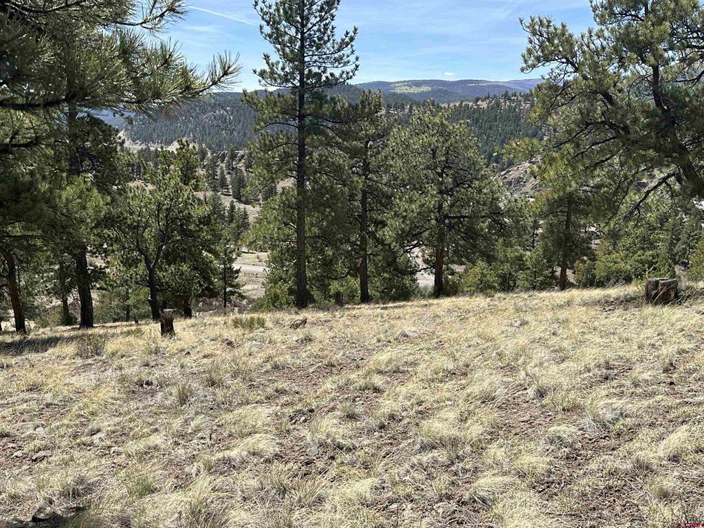 598 N Skyline Drive South Fork CO 81154