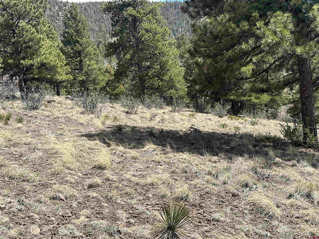 598 N Skyline Drive South Fork CO 81154