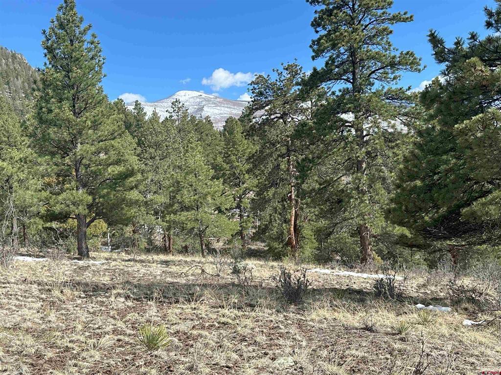 598 N Skyline Drive South Fork CO 81154
