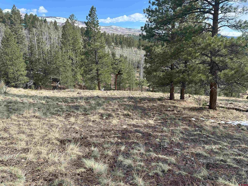 598 N Skyline Drive South Fork CO 81154