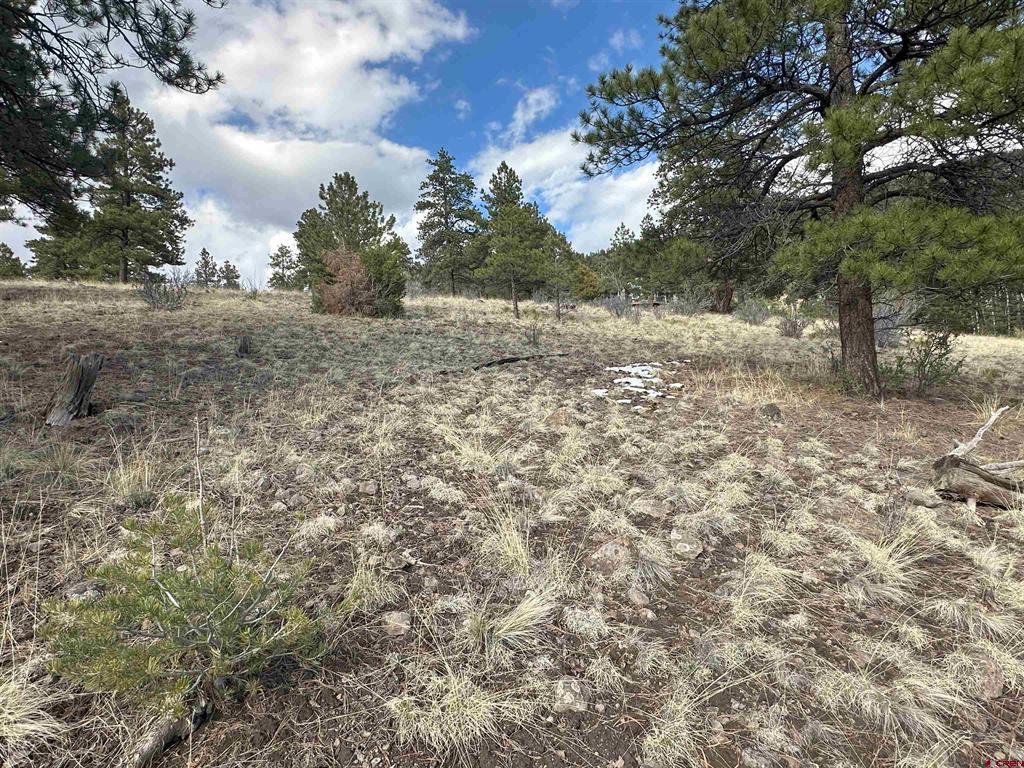 598 N Skyline Drive South Fork CO 81154
