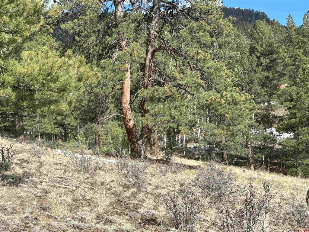 598 N Skyline Drive South Fork CO 81154