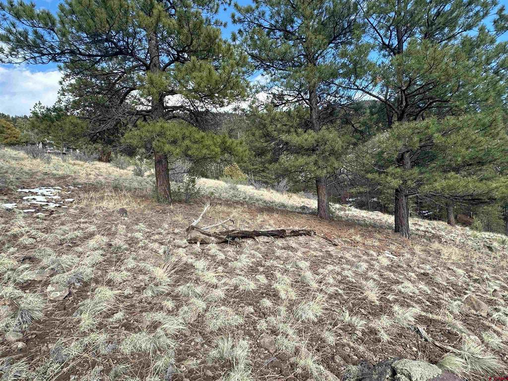 598 N Skyline Drive South Fork CO 81154