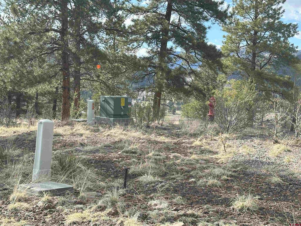 598 N Skyline Drive South Fork CO 81154