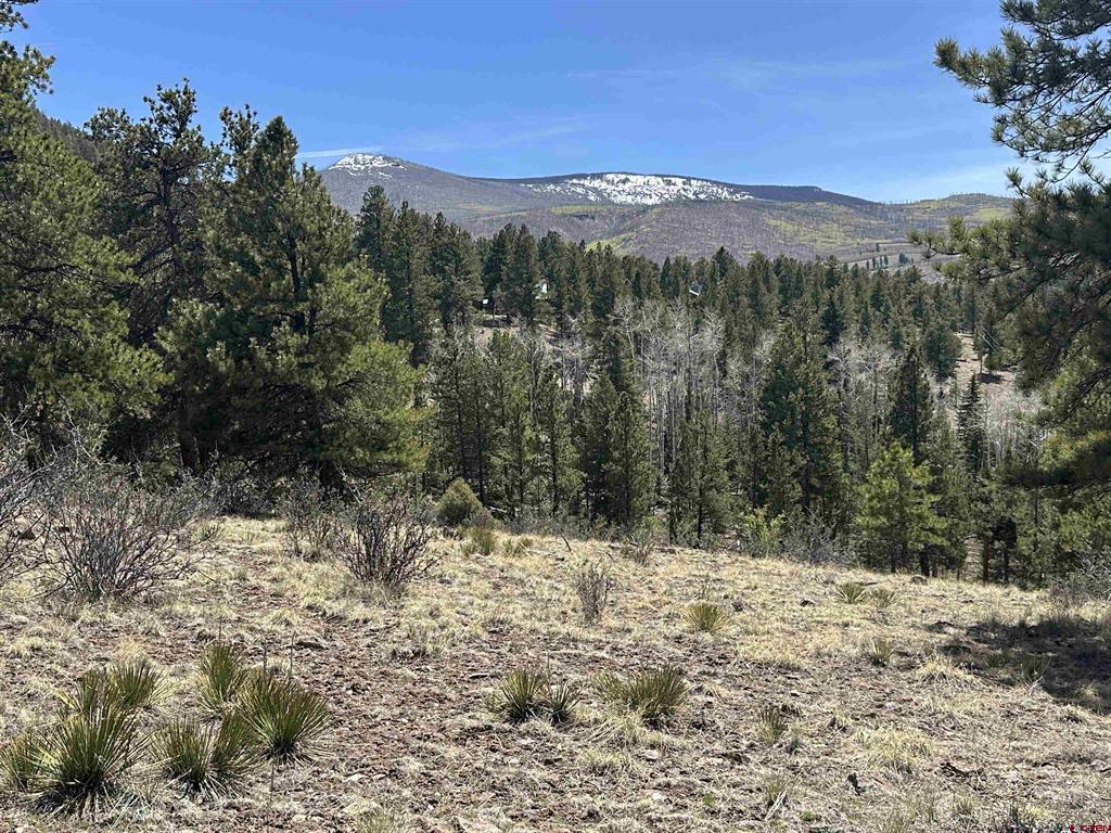 598 N Skyline Drive South Fork CO 81154