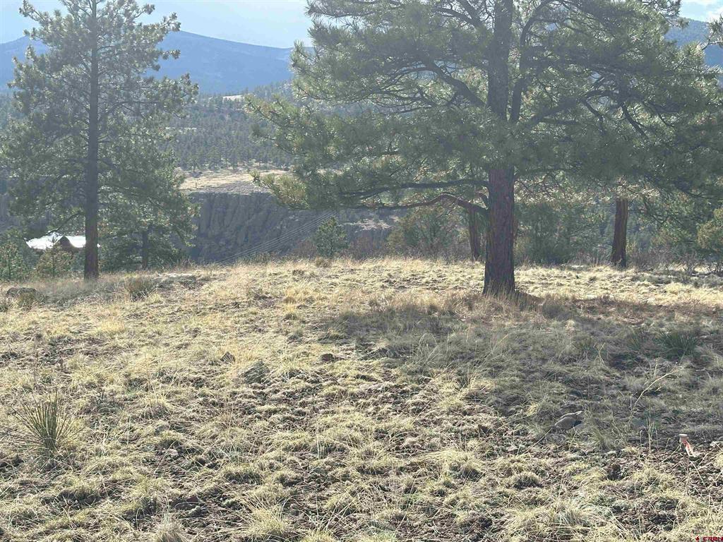 598 N Skyline Drive South Fork CO 81154