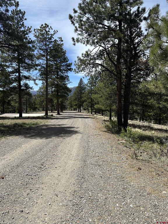 598 N Skyline Drive South Fork CO 81154