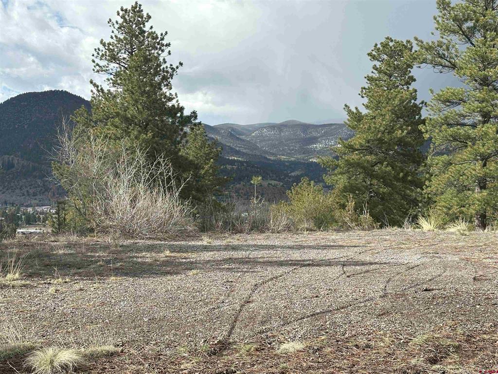 598 N Skyline Drive South Fork CO 81154