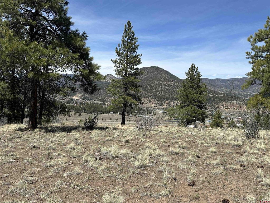598 N Skyline Drive South Fork CO 81154