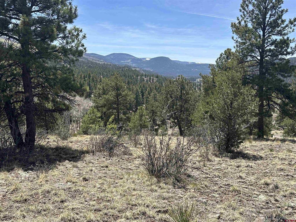 598 N Skyline Drive South Fork CO 81154