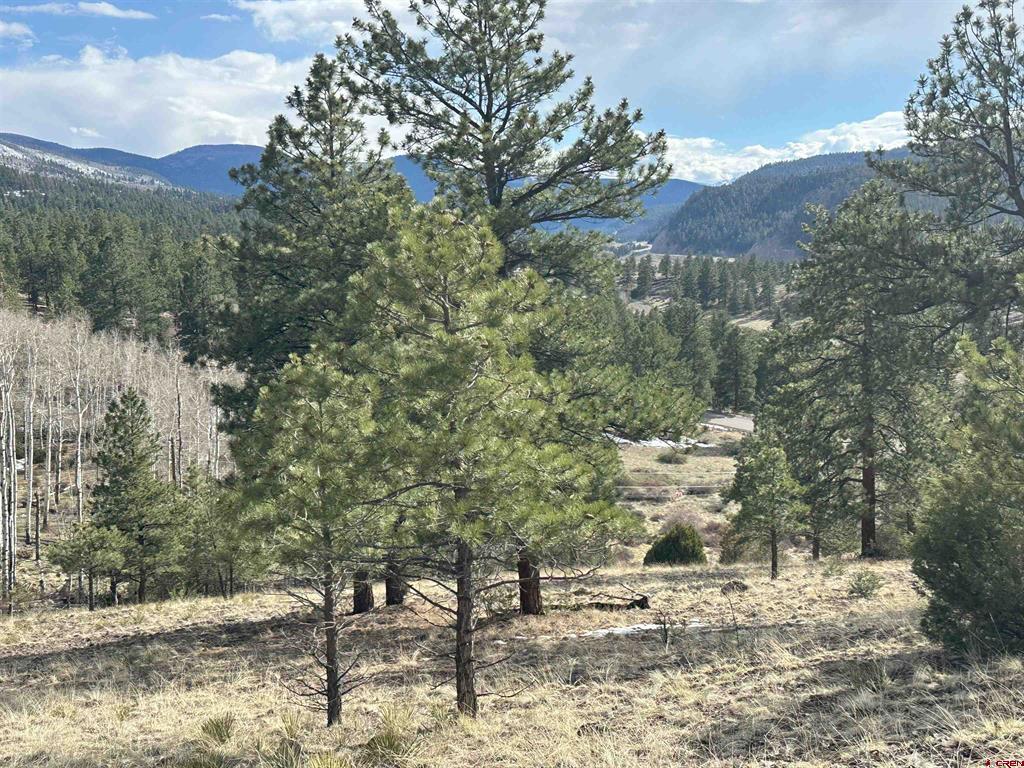 598 N Skyline Drive South Fork CO 81154
