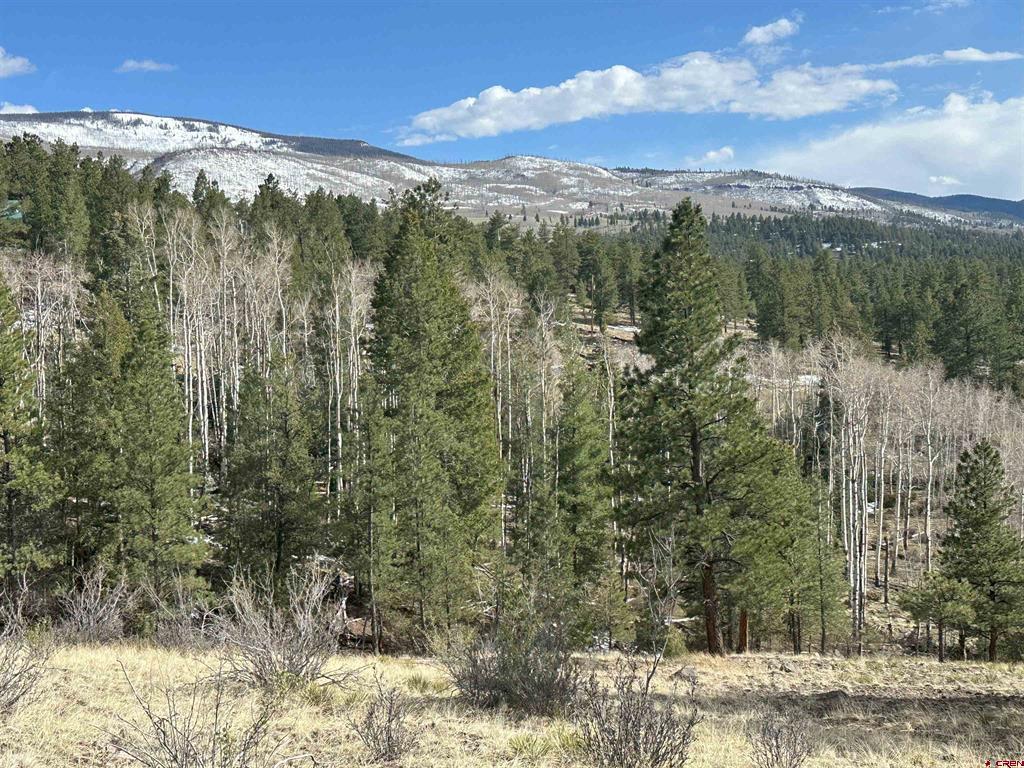 598 N Skyline Drive South Fork CO 81154