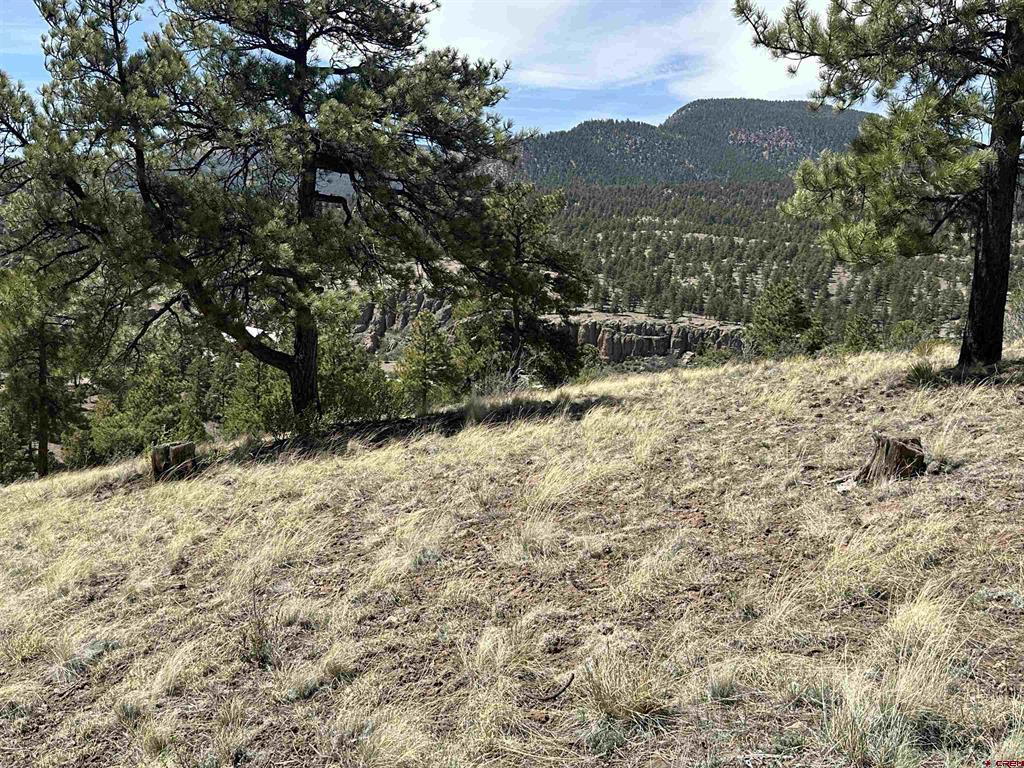 598 N Skyline Drive South Fork CO 81154